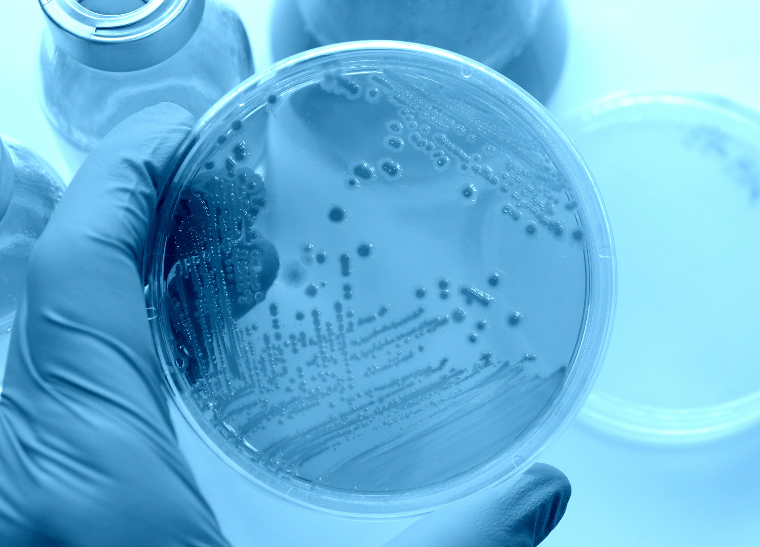 Topische Probiotika bei Neurodermitis: Warum der richtige Stamm entscheidend ist