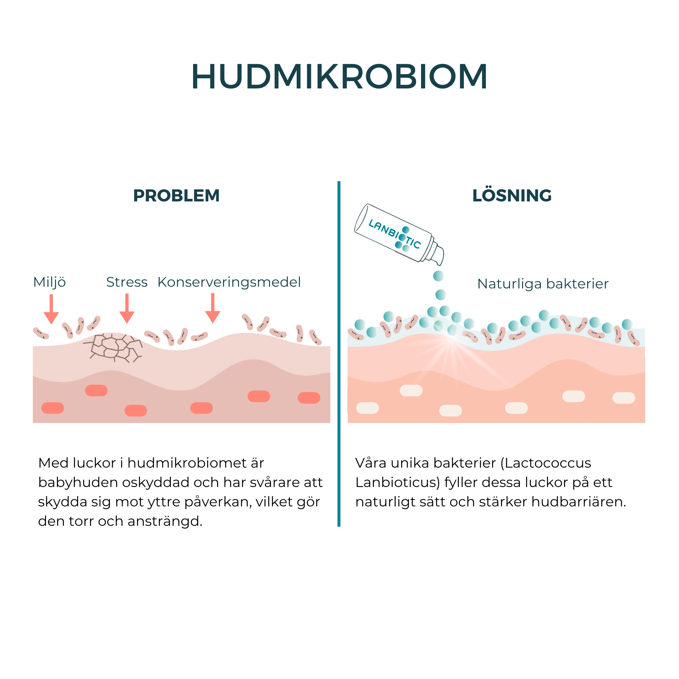 Lipid Care Baby - Vårdkräm för spädbarn med atopiskt eksem